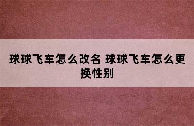 球球飞车怎么改名 球球飞车怎么更换性别